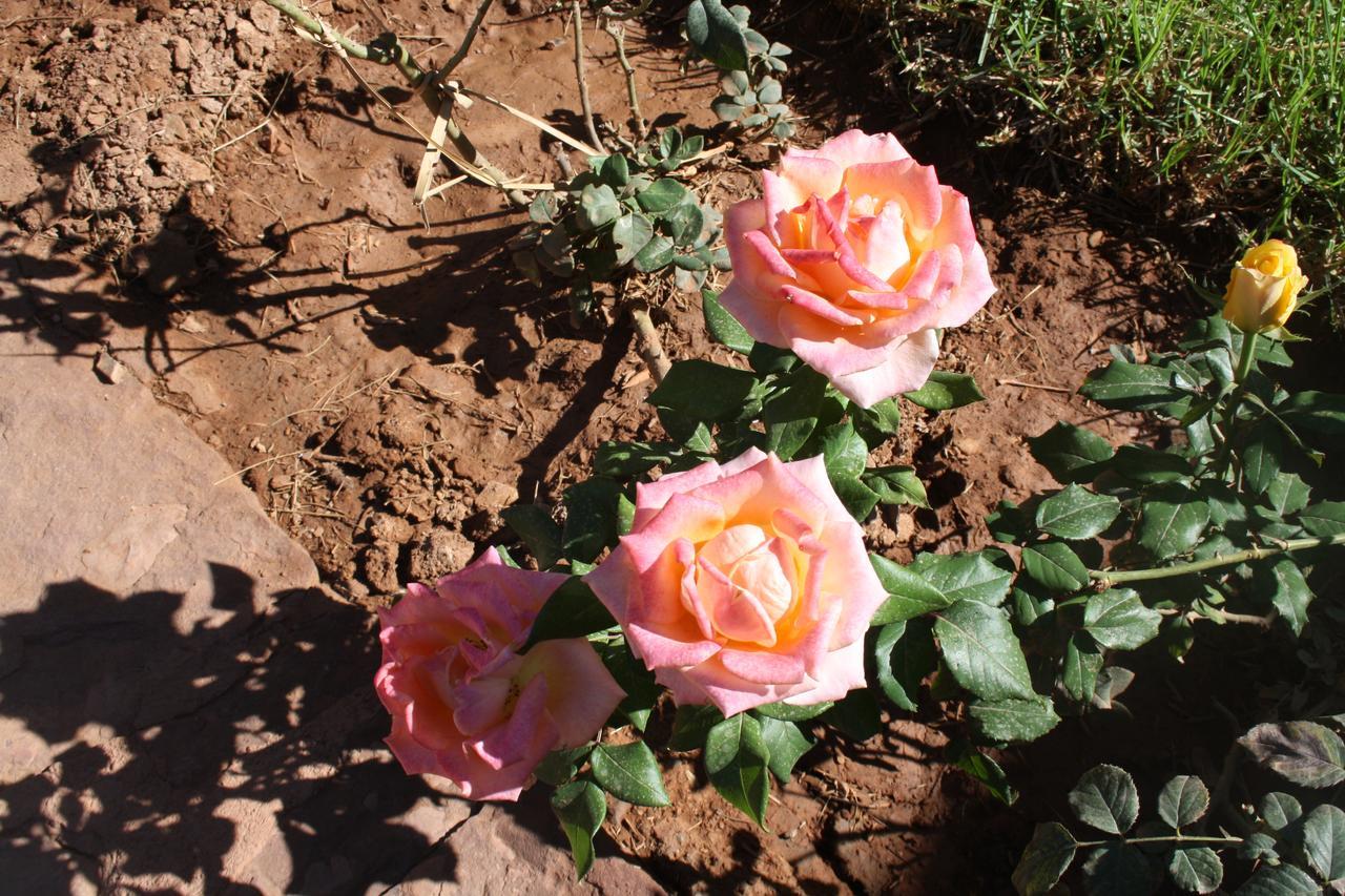 Terres D'Amanar Otel Tahanaout Dış mekan fotoğraf