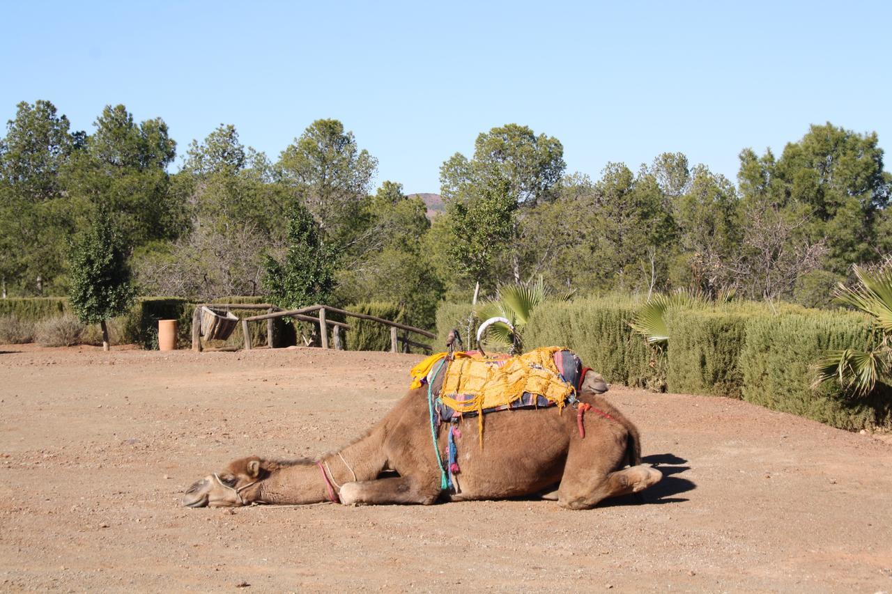 Terres D'Amanar Otel Tahanaout Dış mekan fotoğraf